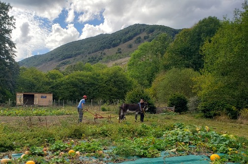 Étude sur l'équidurabilité 🌿