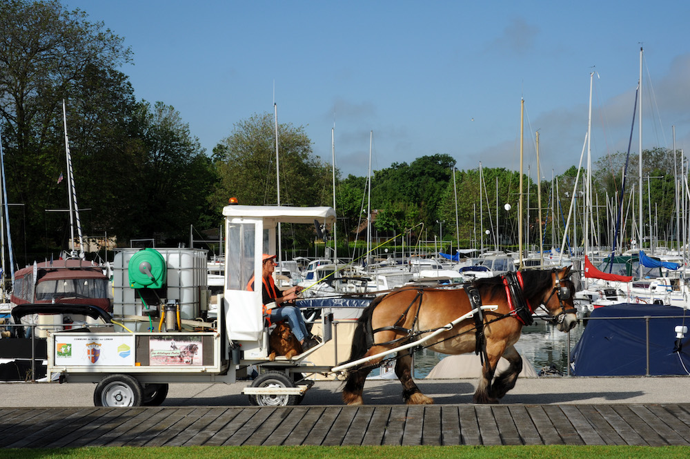 Cheval